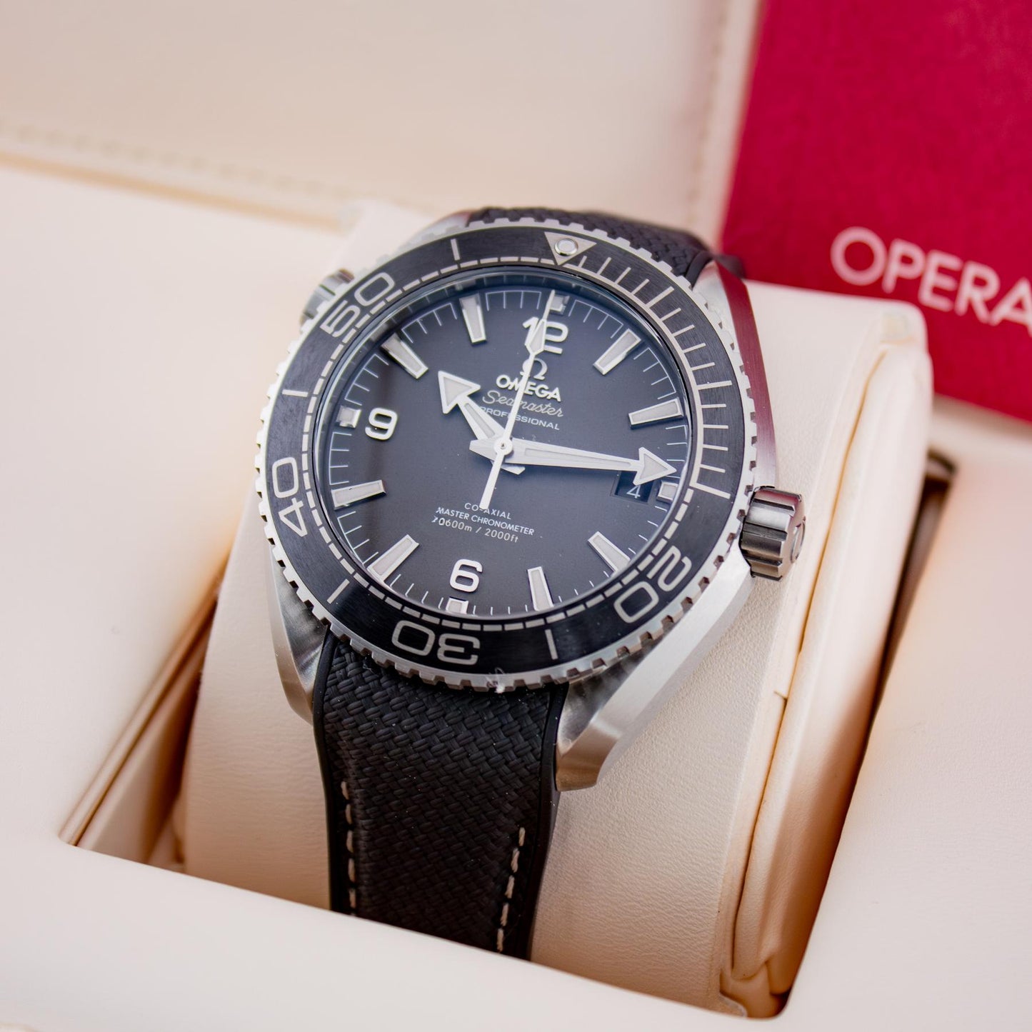 Omega Seamaster Planet Ocean 600M Grey – Co-Axial Master Chronometer