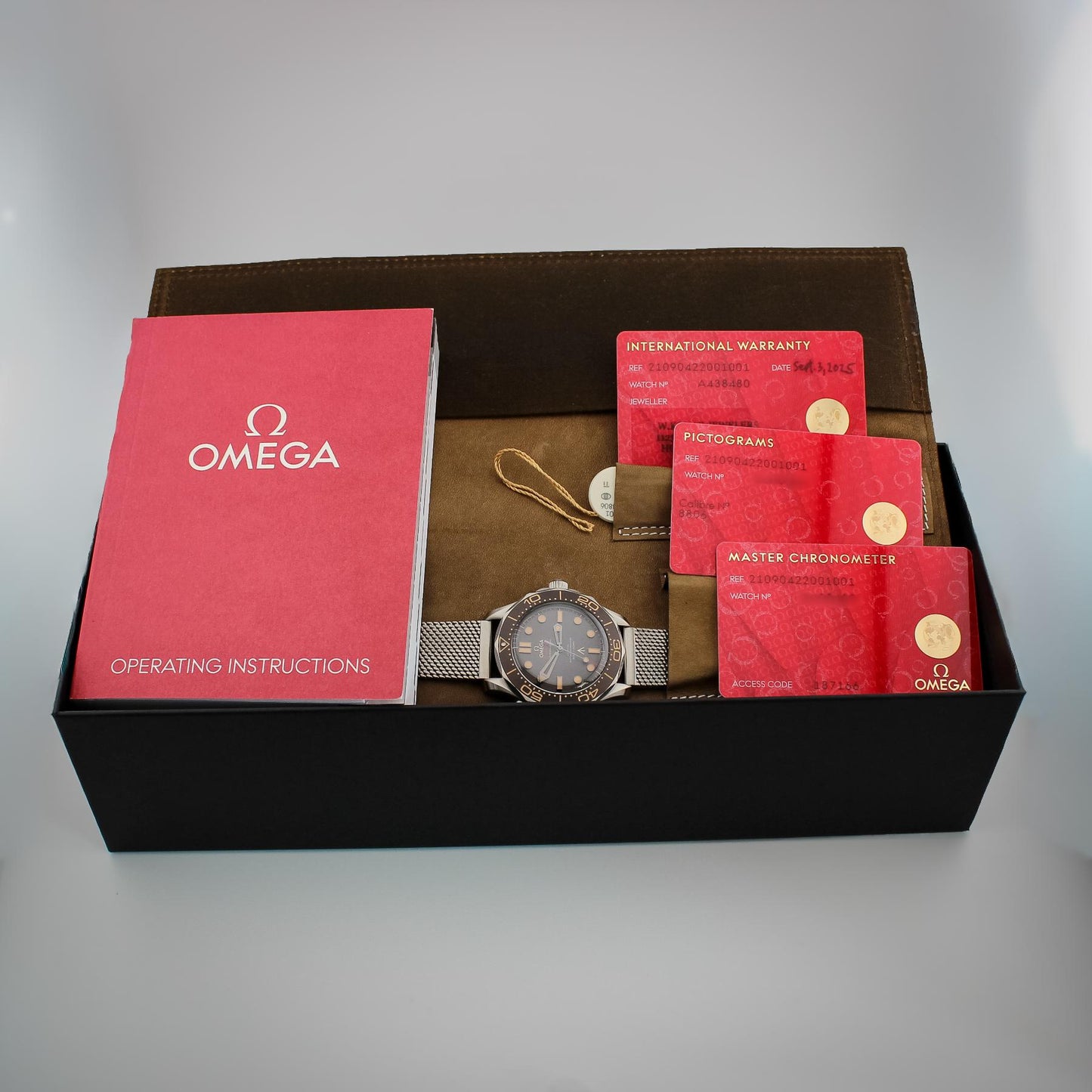 Omega Seamaster Diver 300 M 007