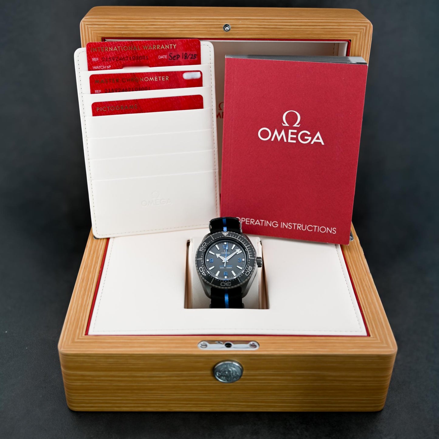 Omega Seamaster Planet Ocean 6000M
